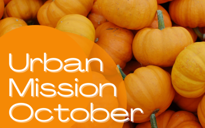 October e-news is out!
